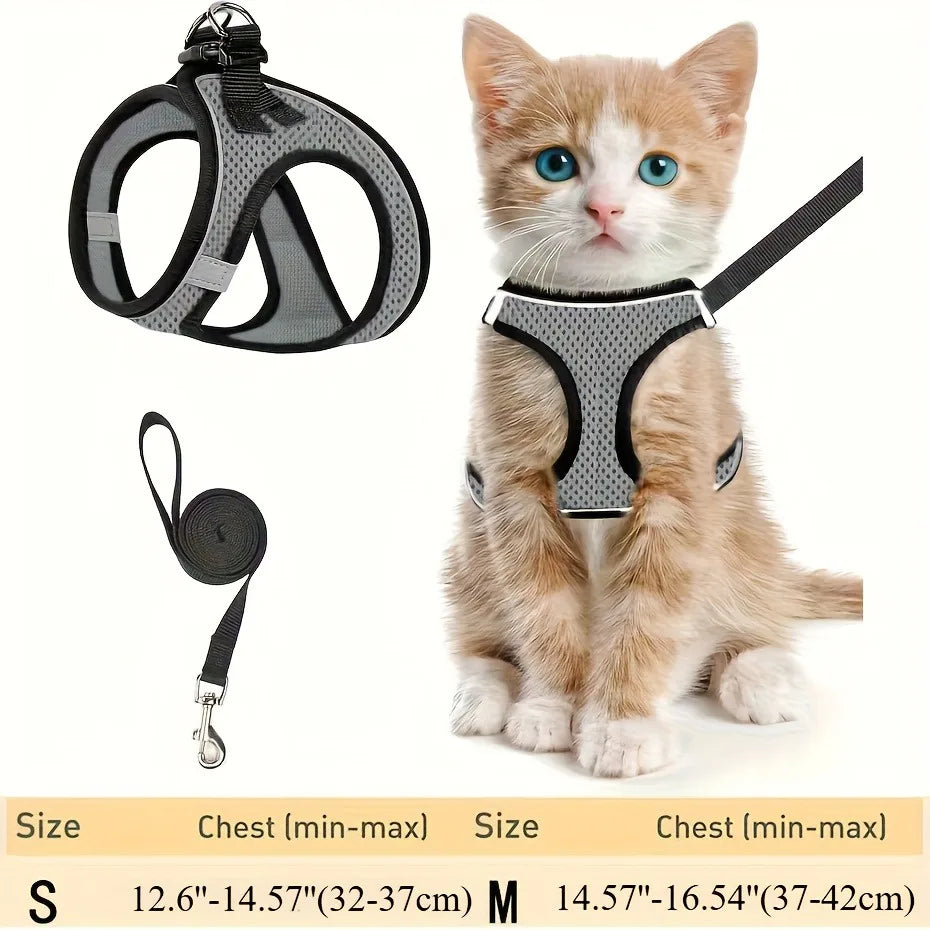 Harness Cats Pet Products Goods Supplies Accessories Pets Collar Leash